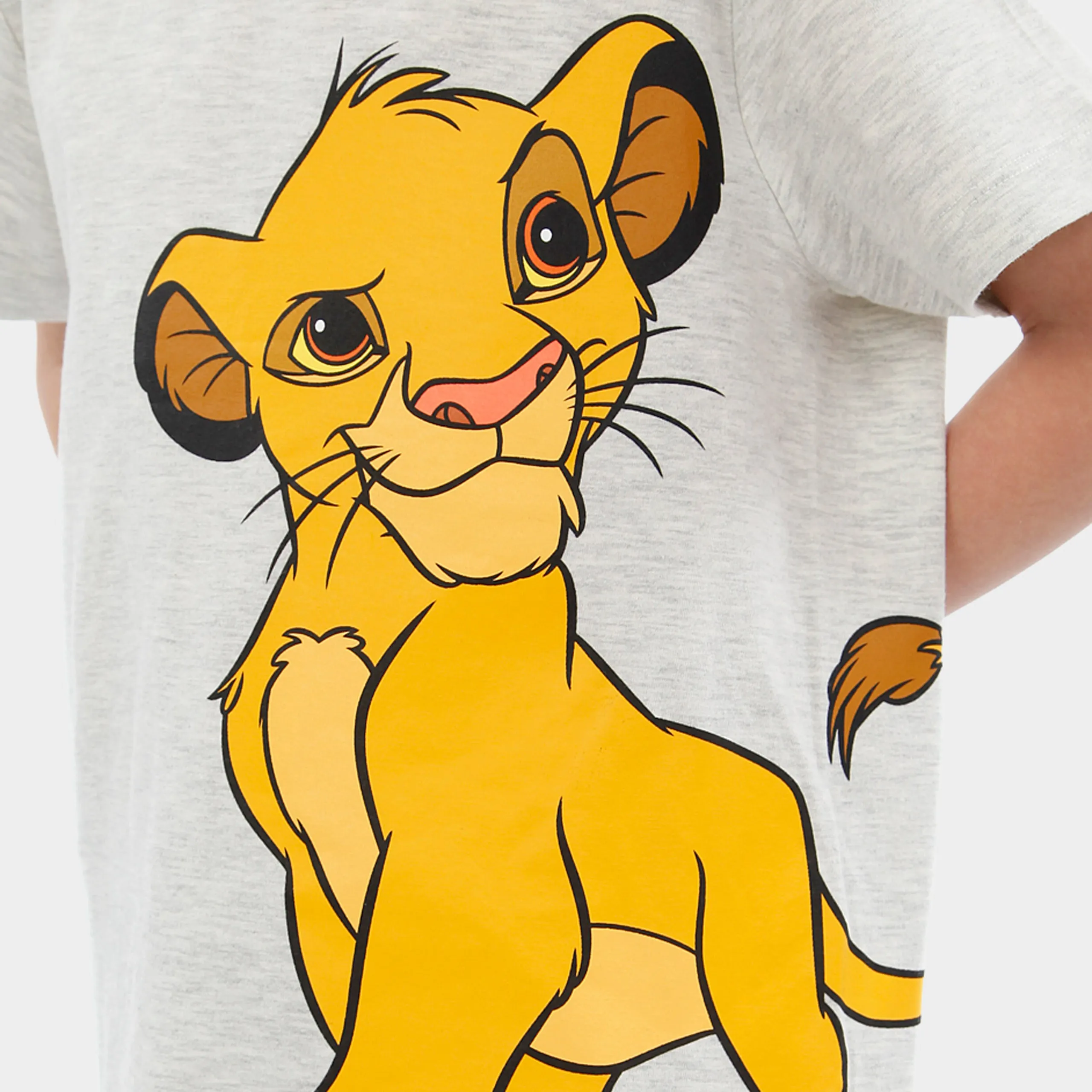 Lion King Outfit Set