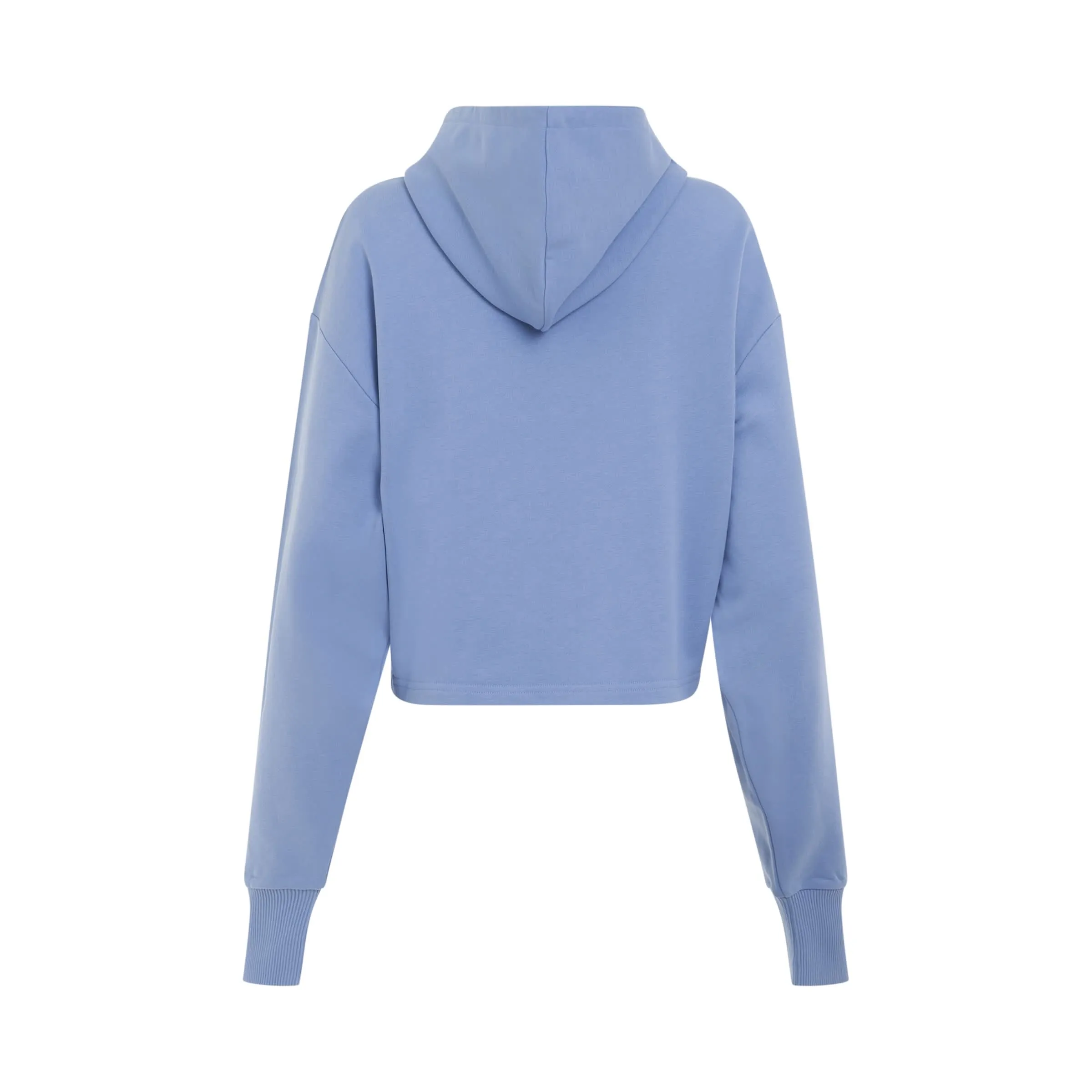 Roman Rubber Cropped Hoodie in Light Blue/White